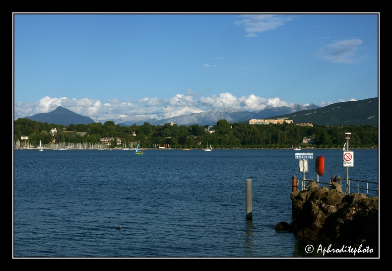 155 Le coteau de Cologny et les alpes françaises vu du parc Perle du Lac